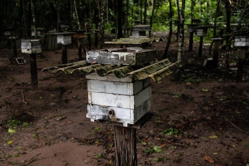 A beehive structure in a forested area with multiple hives. 3
