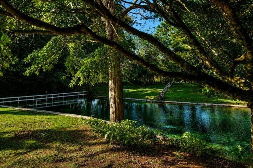Rainforest Secrets & Wildlife Adventure 4
