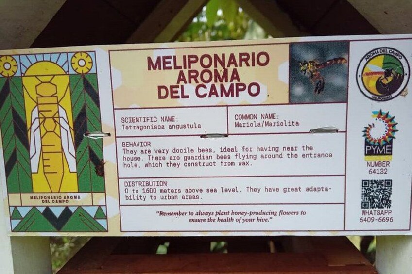 A signboard with information about the Meliponario Aroma Del Campo bee species, including its scientific name, common name, behavior, distribution, and a reminder to plant boney-producing flowers. 4