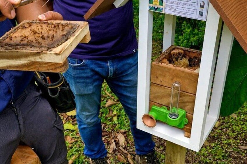 A person holding a tray with a beehive, a wooden box with a green device, and a bee smoker. 2