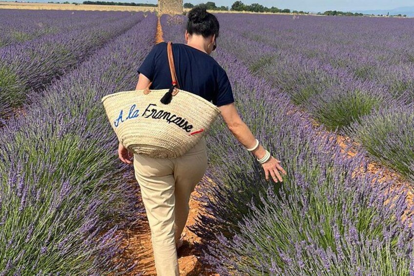 A person walking through a lavender field. 3