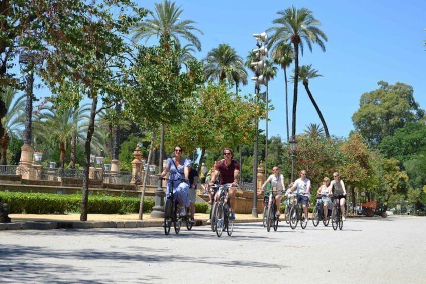 3-hour Guided Bike Tour along the Highlights of Seville 1