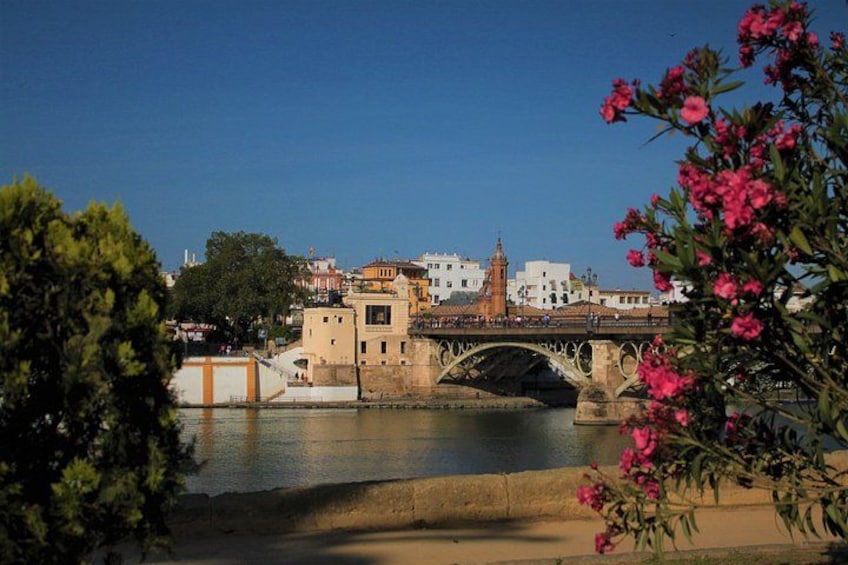 3-hour Guided Bike Tour along the Highlights of Seville 4