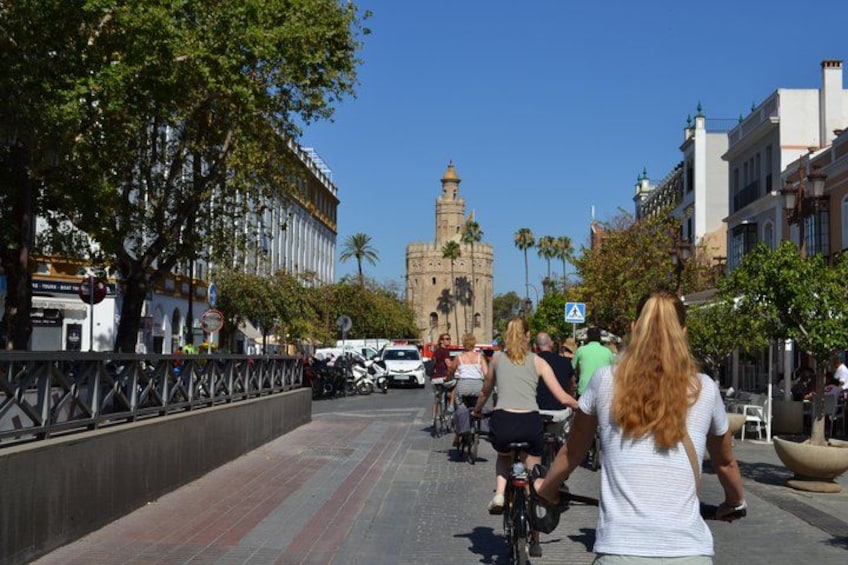 A pedestrian walkway with cyclists, palm trees, and a historic tower in the background. 5