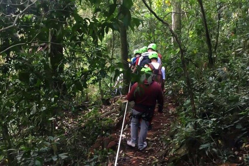 A group of people hiking in a forested area. 2