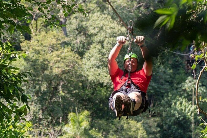 A person zip-lining through a forest. 1