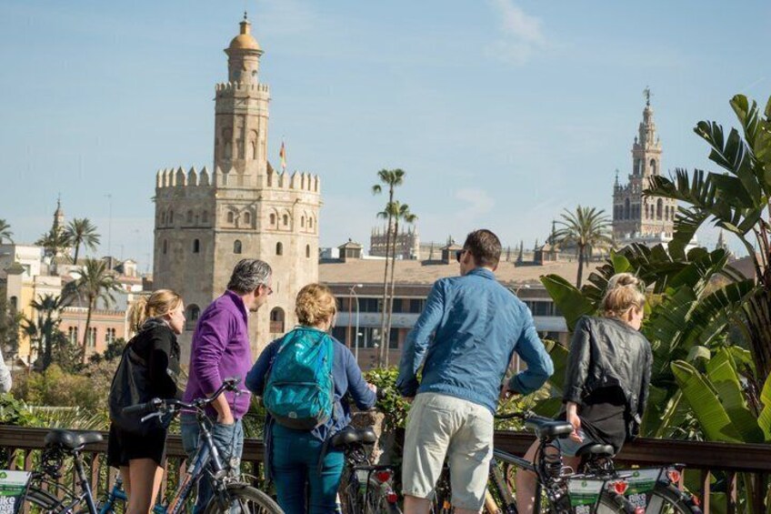 Guided Electric Bike Tour in Seville 1
