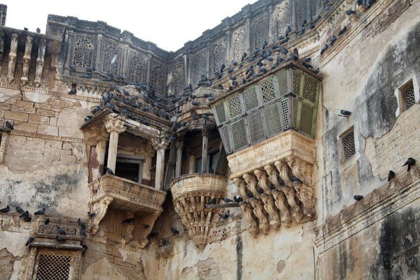Same Day Tour to Bharatpur 2