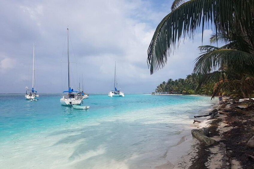 A beach with clear turquoise water, three sailboats anchored near the shore, and a palm tree on the right. 1