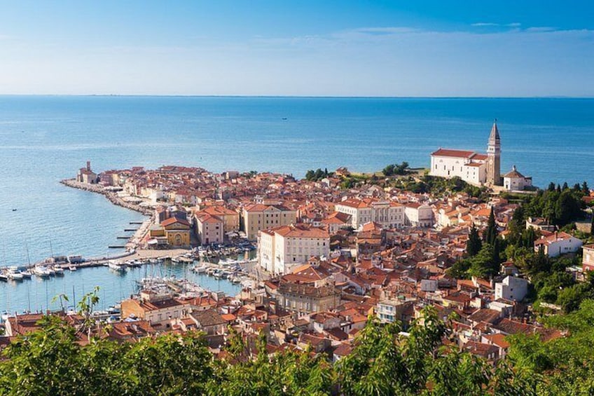Panoramic view of city Piran 4