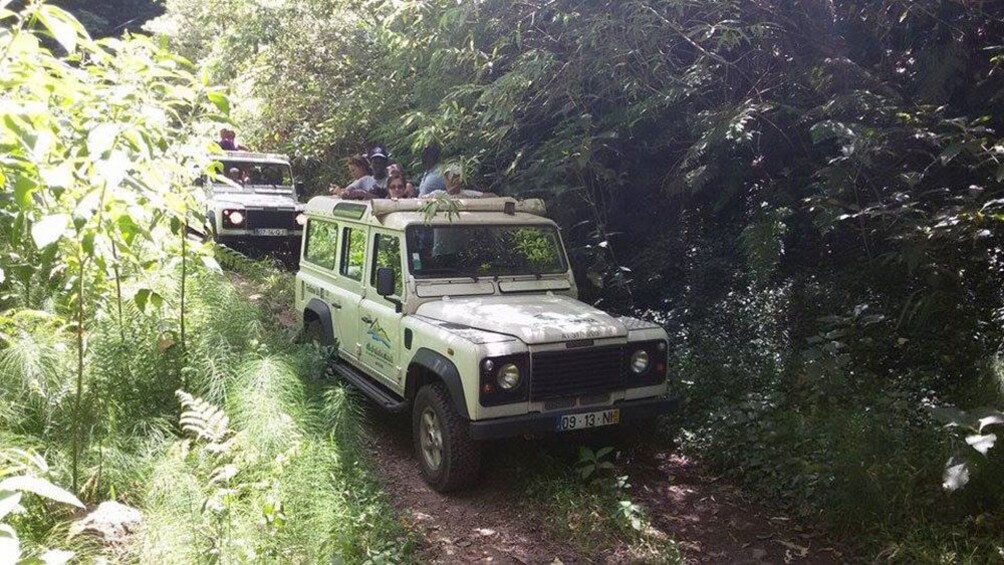 Two jeeps drive on a dirt road in the jungle