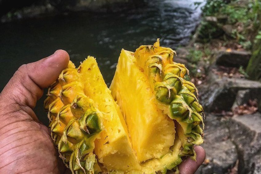 A hand holding a halved pineapple with a green crown. 2