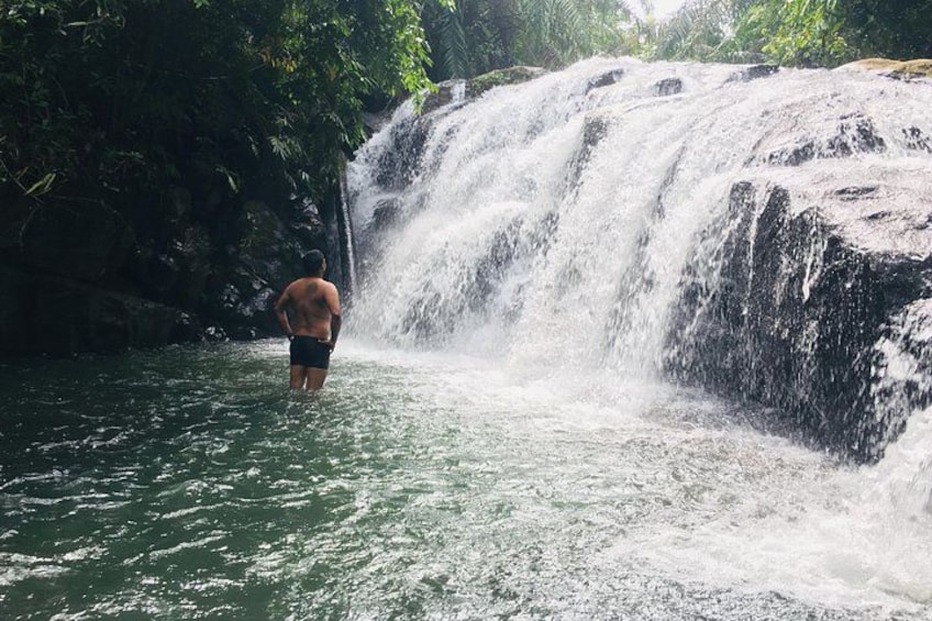 A waterfall, a person standing in water, and lush greenery. 5