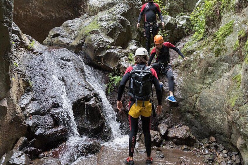 Canyoning with Waterfalls in the Rainforest - Small Groups ツ 3