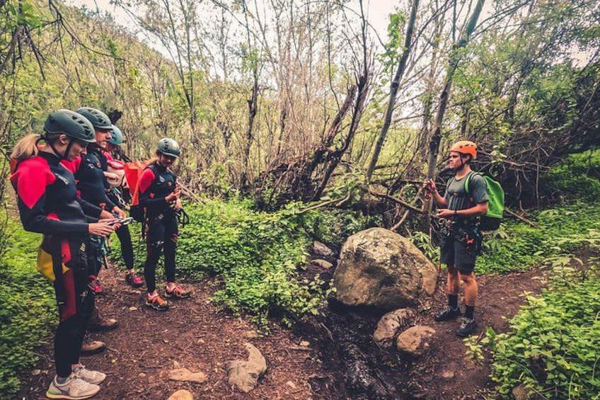 Un groupe de personnes, vêtues d’équipements adaptés aux activités de plein air, notamment des casques et des sacs à dos, se tient sur un sentier forestier. 2