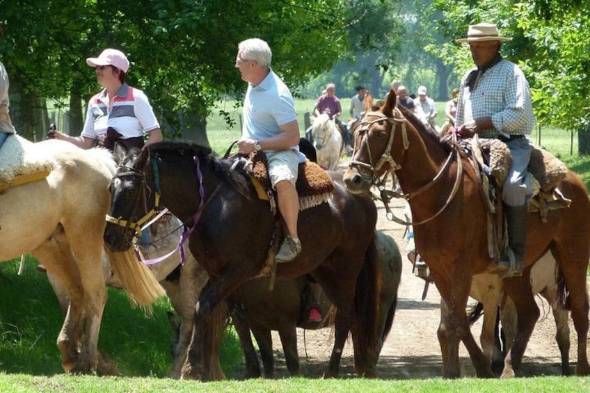 Gaucho Day with Estancia & Areco town 1