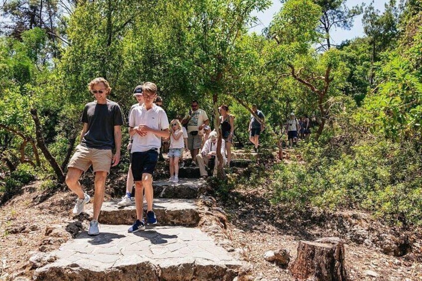 Personas caminando por un sendero de piedra rodeado de árboles. 5