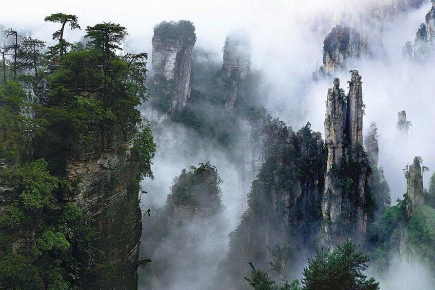 1-Day Private Tour to ZJJ National Forest Park & Avatar Mountain 2