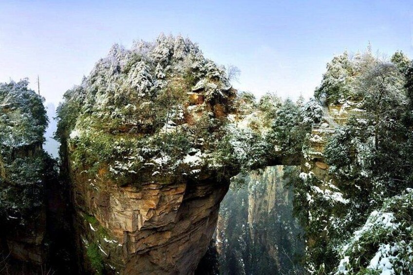 1-Day Private Tour to ZJJ National Forest Park & Avatar Mountain 3