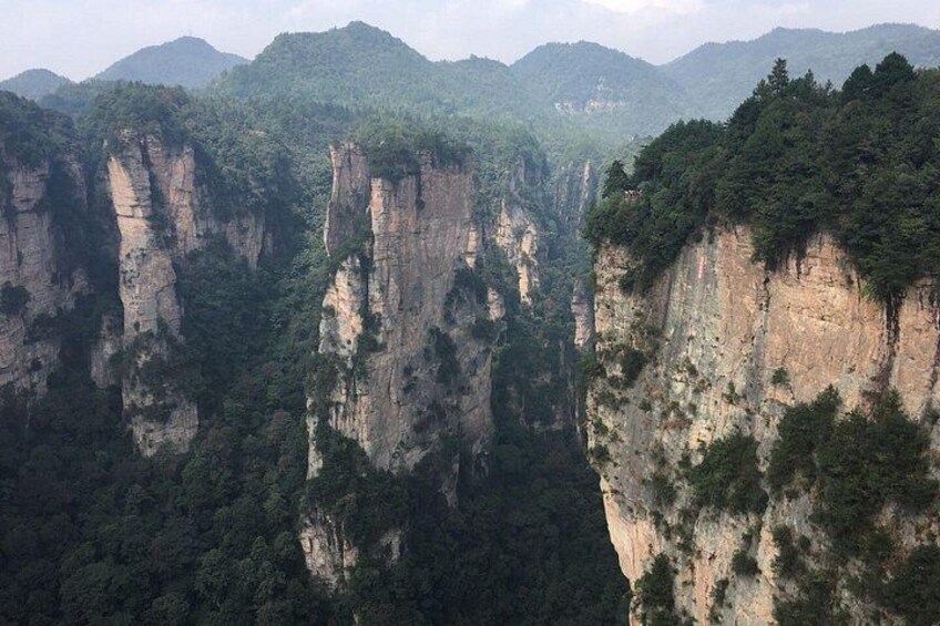1-Day Private Tour to ZJJ National Forest Park & Avatar Mountain 2