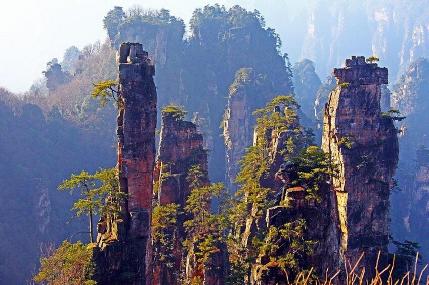 1-Day Private Tour to ZJJ National Forest Park & Avatar Mountain 1