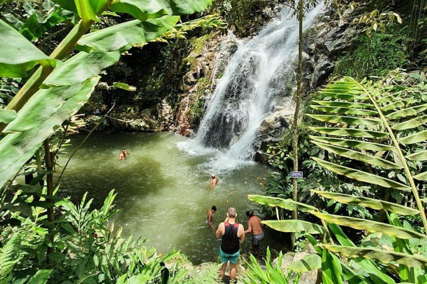 Full Day Marinka Waterfall and Sierra Minca 1
