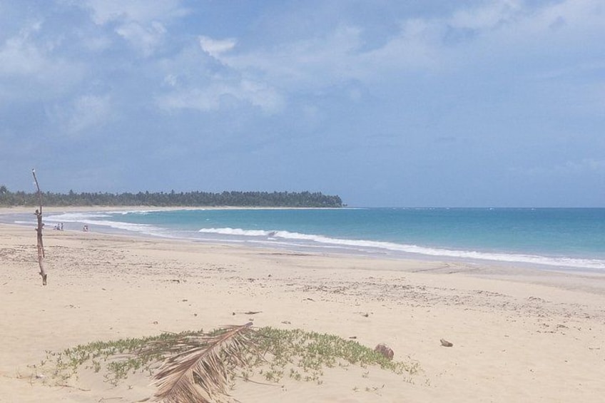 Una playa con arena, algunas personas y una línea de árboles a lo lejos. 3