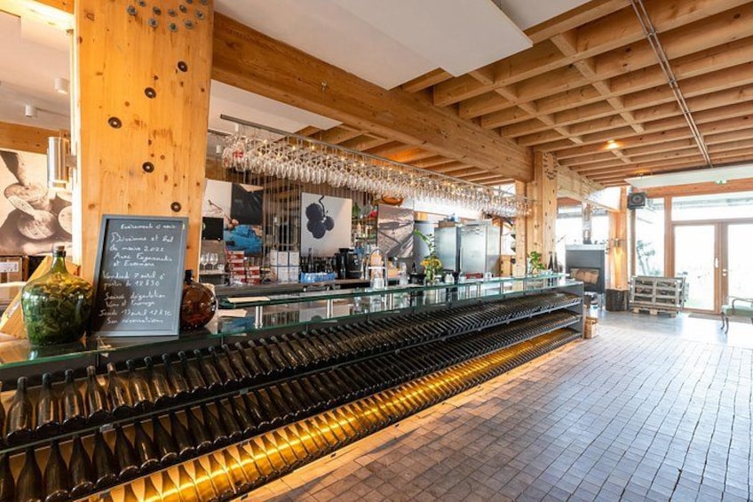 Alsace: Wine tasting/Single Straw Wine Tour 5