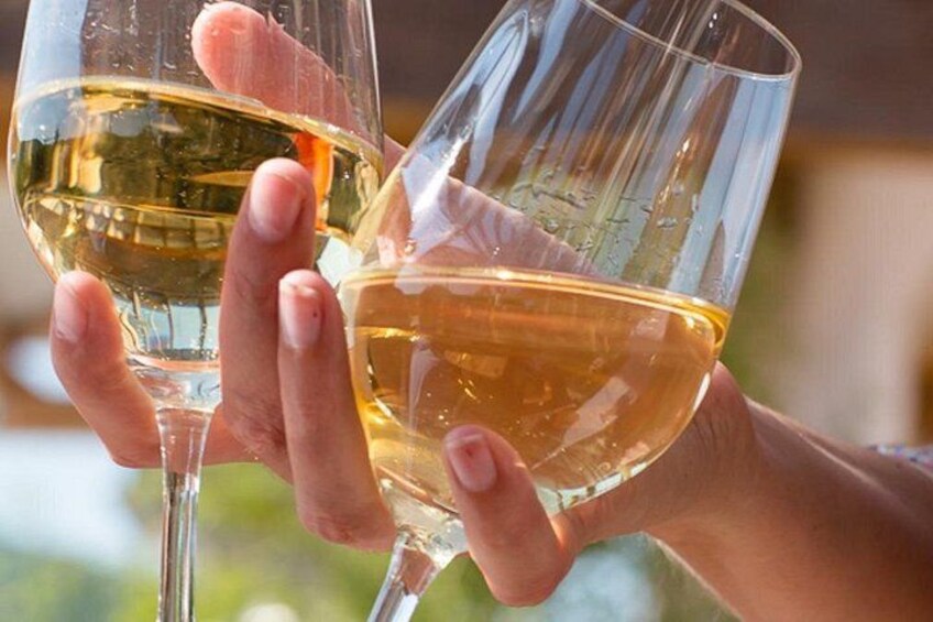Alsace: Wine tasting/Single Straw Wine Tour 1