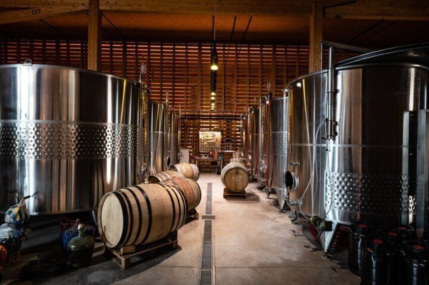 Alsace: Wine tasting/Single Straw Wine Tour 3