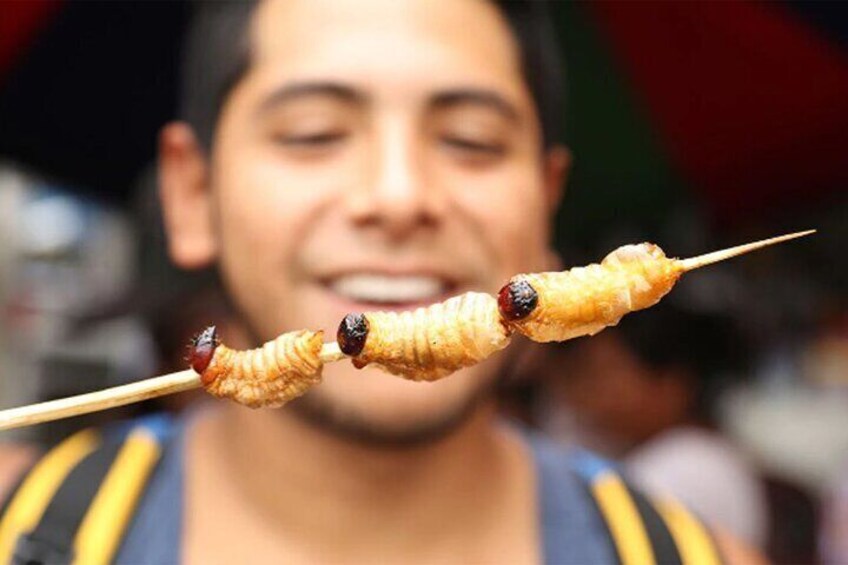 Exotic amazonian fruit worm "Suri".