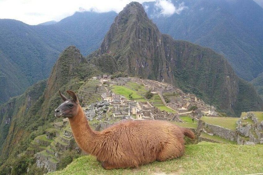 the best view of Machu Picchu 1