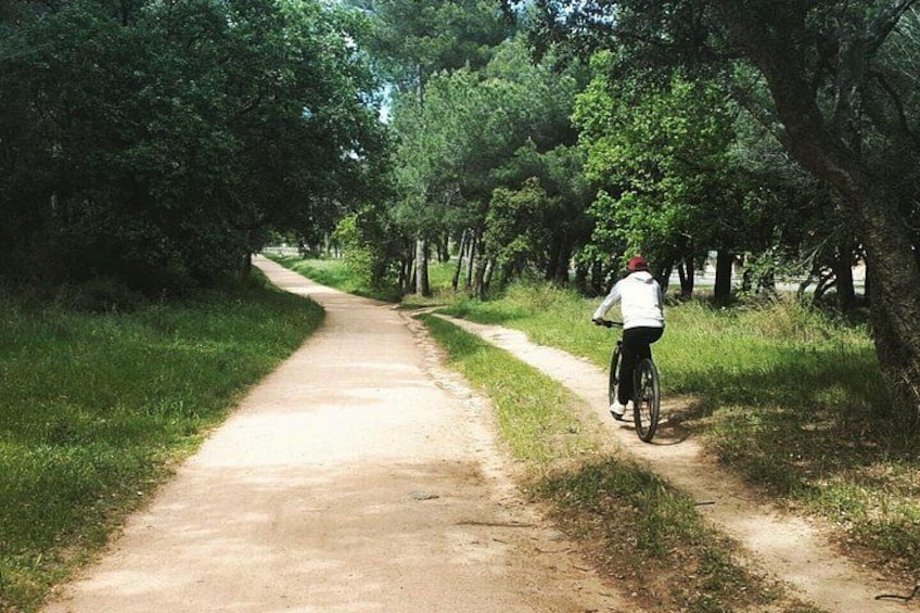 A dirt path with a cyclist in a white jacket and red cap. 1