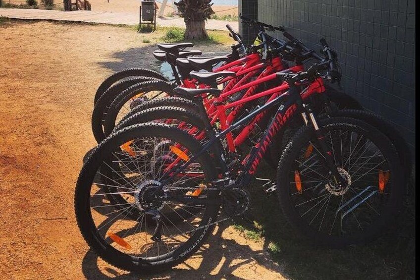 A row of red bicycles parked against a wall. 2