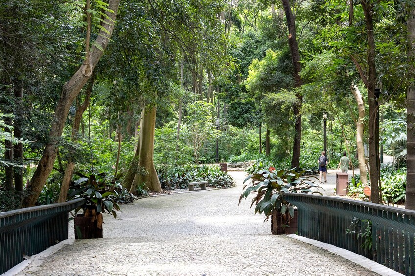 Sao Paulo Highlights - Walking Tour 2