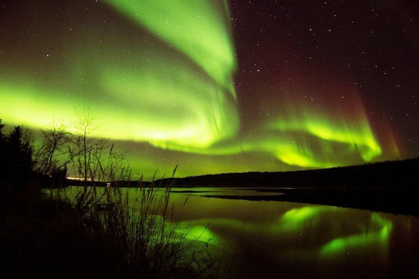 Las auroras boreales sobre un lago tranquilo, con siluetas de árboles y un puente. 1