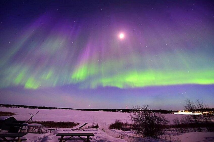 The Greatest Valuable Aurora Manor & Hunting Tour --Exclusive Tour Operator 5