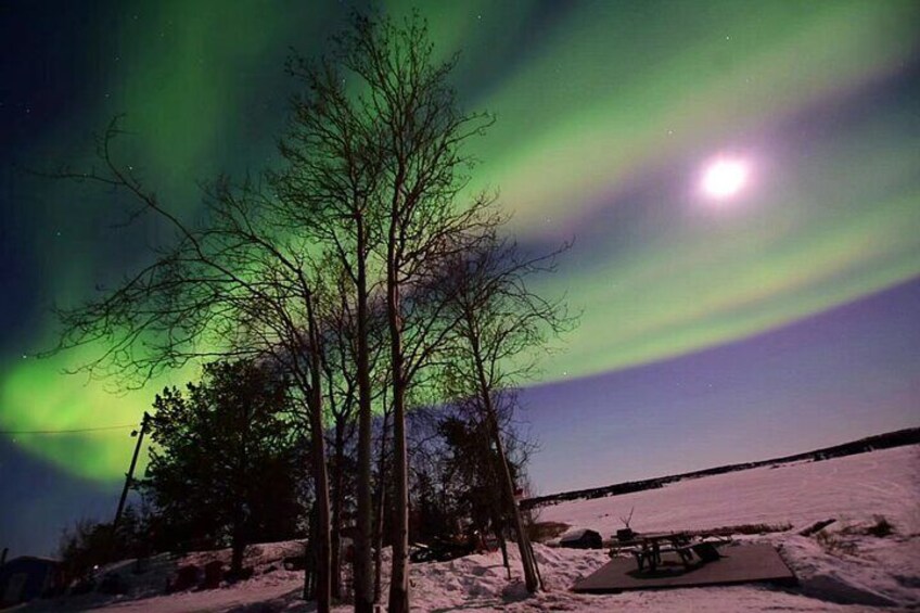 The Greatest Valuable Aurora Manor & Hunting Tour --Exclusive Tour Operator