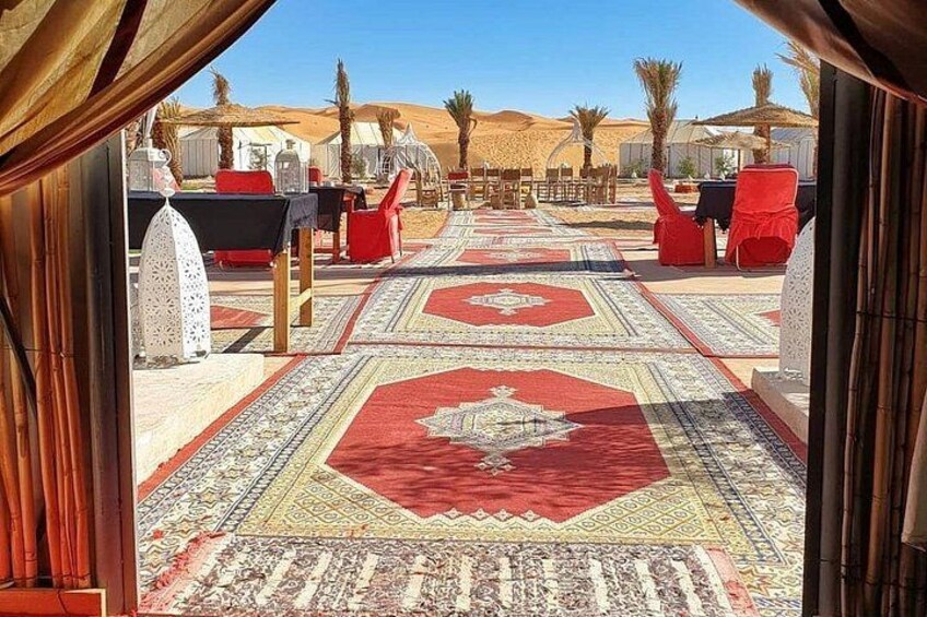 A carpeted outdoor area with tables and chairs, palm trees, and a desert landscape in the background. 5