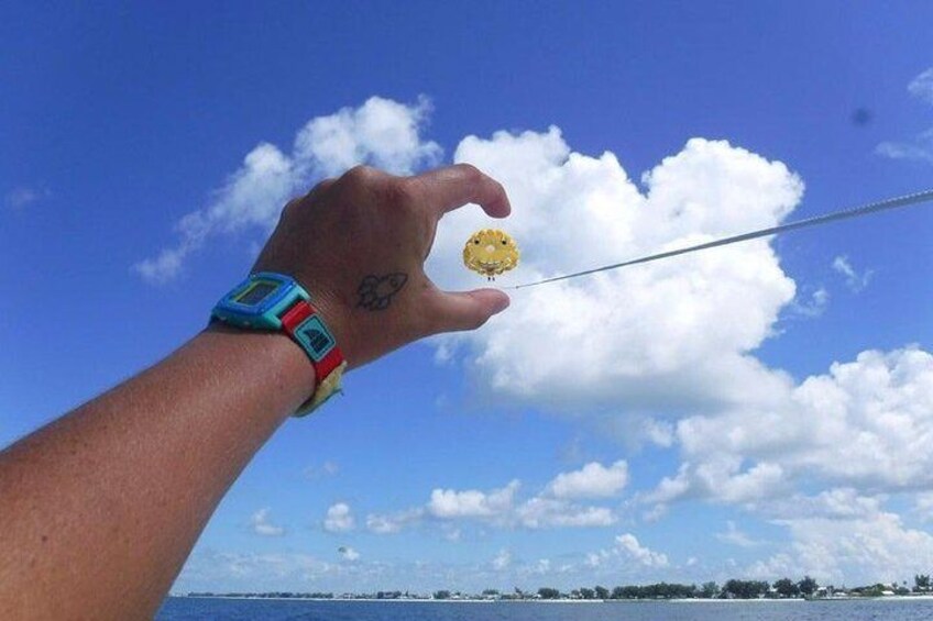 Afternoon Parasailing Adventure above the Gulf of Mexico