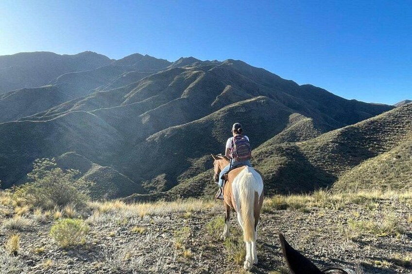 Horseback riding and roast in the mountains of Mendoza 3