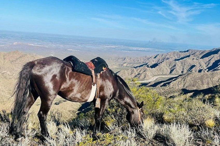 Horseback riding and roast in the mountains of Mendoza 4