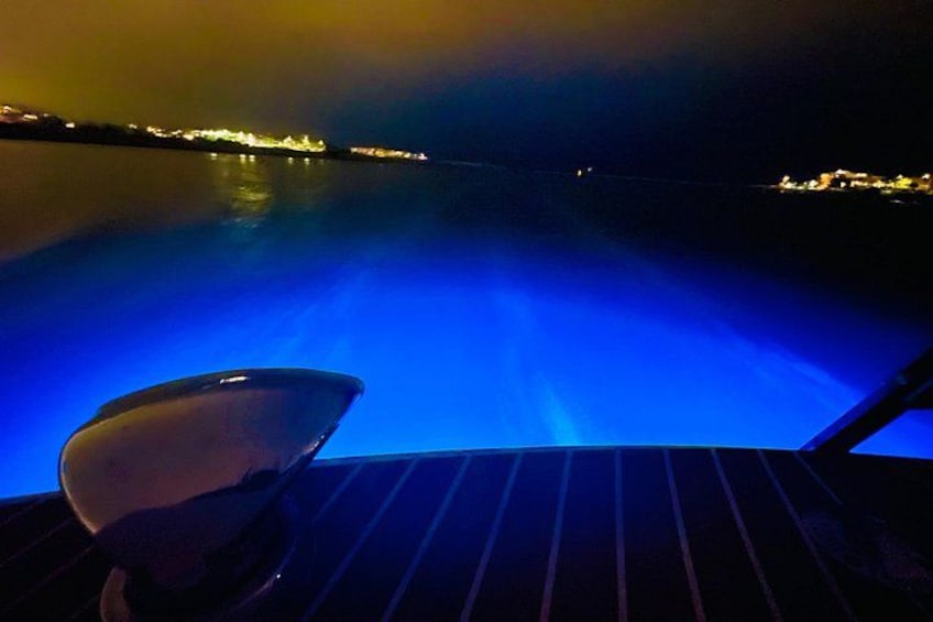 underwater lighting 4