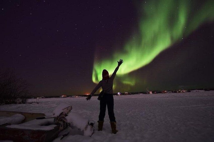 Una persona de pie sobre suelo cubierto de nieve, contemplando un despliegue vibrante de auroras. 4
