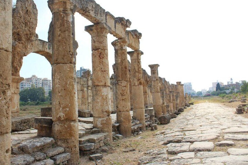 Lebanon tour Sidon & Tyre ruins with pick-up & multilingual guide 2