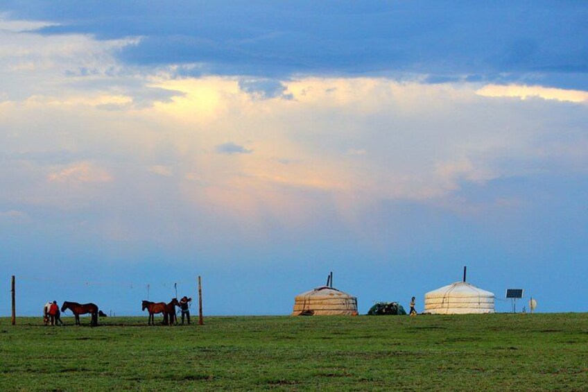 Ein grasbewachsenes Feld mit drei Jurten, Pferden und einer wandernden Person. 5