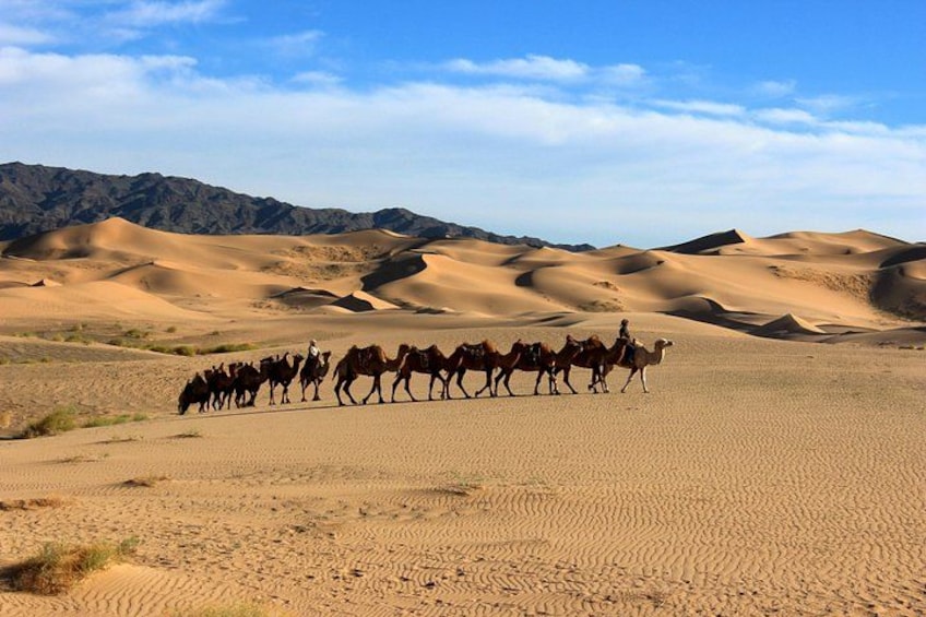 Eine Kamel- und Pferdekutsche durchquert eine Wüstenlandschaft mit Sanddünen und Bergen im Hintergrund. 4