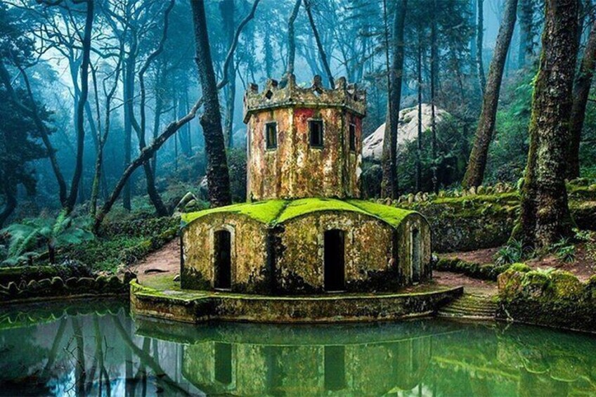 Ein mit Moos bewachsener Turm in einem Wald mit Teich davor. 4