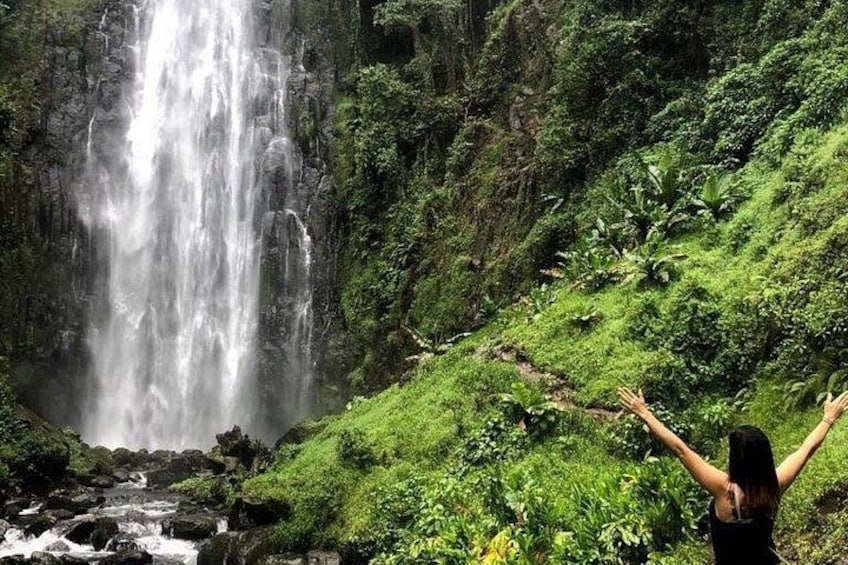 Materuni waterfalls 2