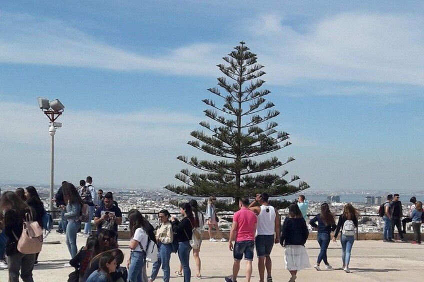 Un gruppo di persone che passeggia vicino a un grande albero di conifere, con uno skyline urbano sullo sfondo. 4